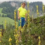 Gasthof Pesbichl 3* Goldegg