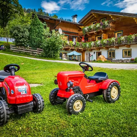 Pesbichl Zajazd Goldegg