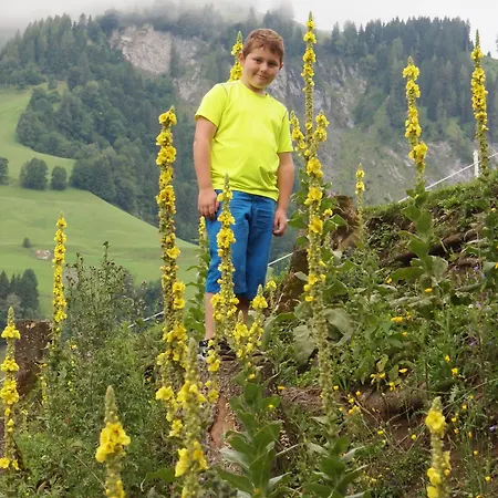 Gasthof Pesbichl 3* Goldegg