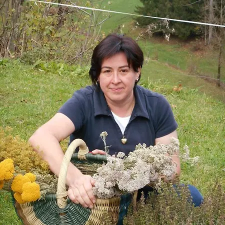 Pesbichl Zajazd Goldegg