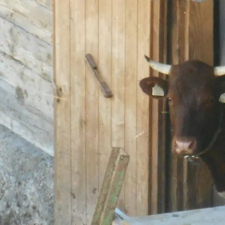 Gasthof Pesbichl Goldegg