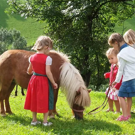 Inn Gasthof Pesbichl
