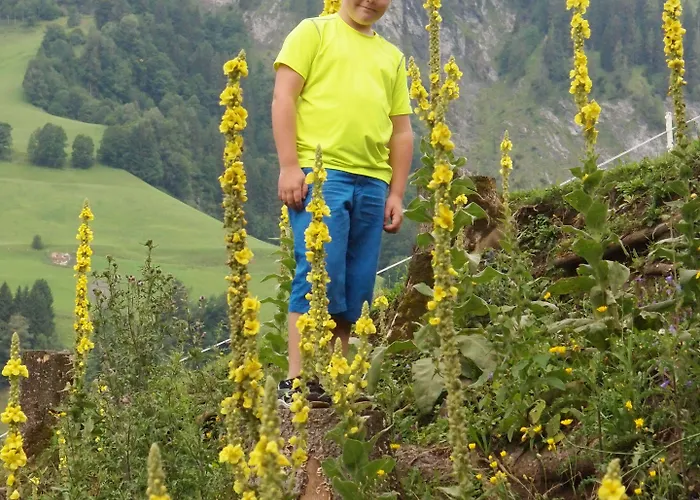 Pesbichl 3* Goldegg