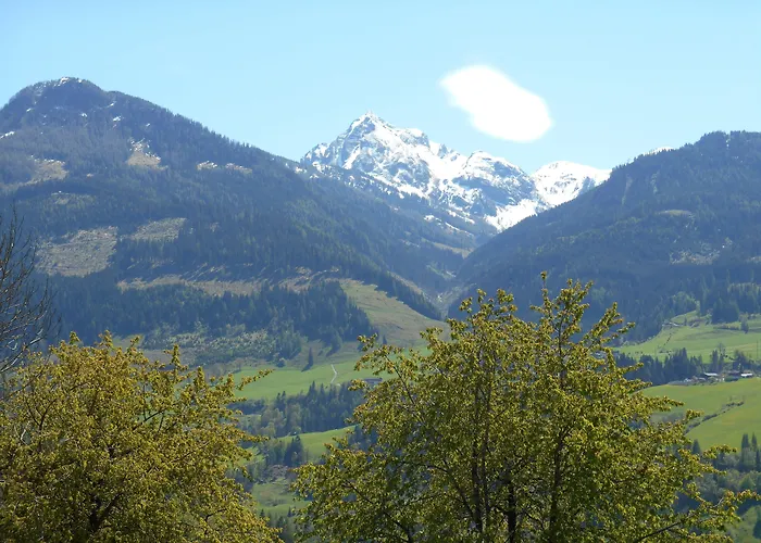 Pesbichl Goldegg