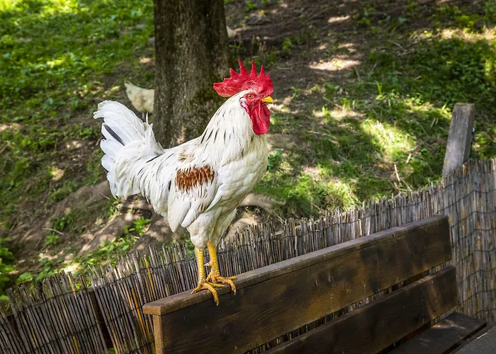 Herberg Pesbichl Goldegg